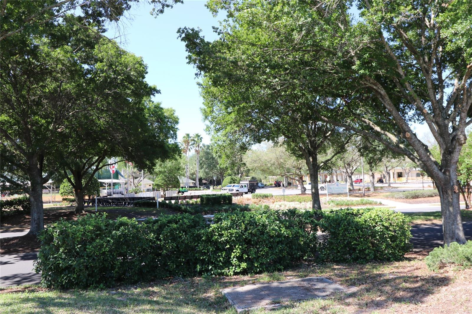 Photo #41