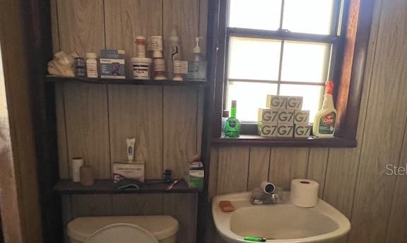 Photo #40