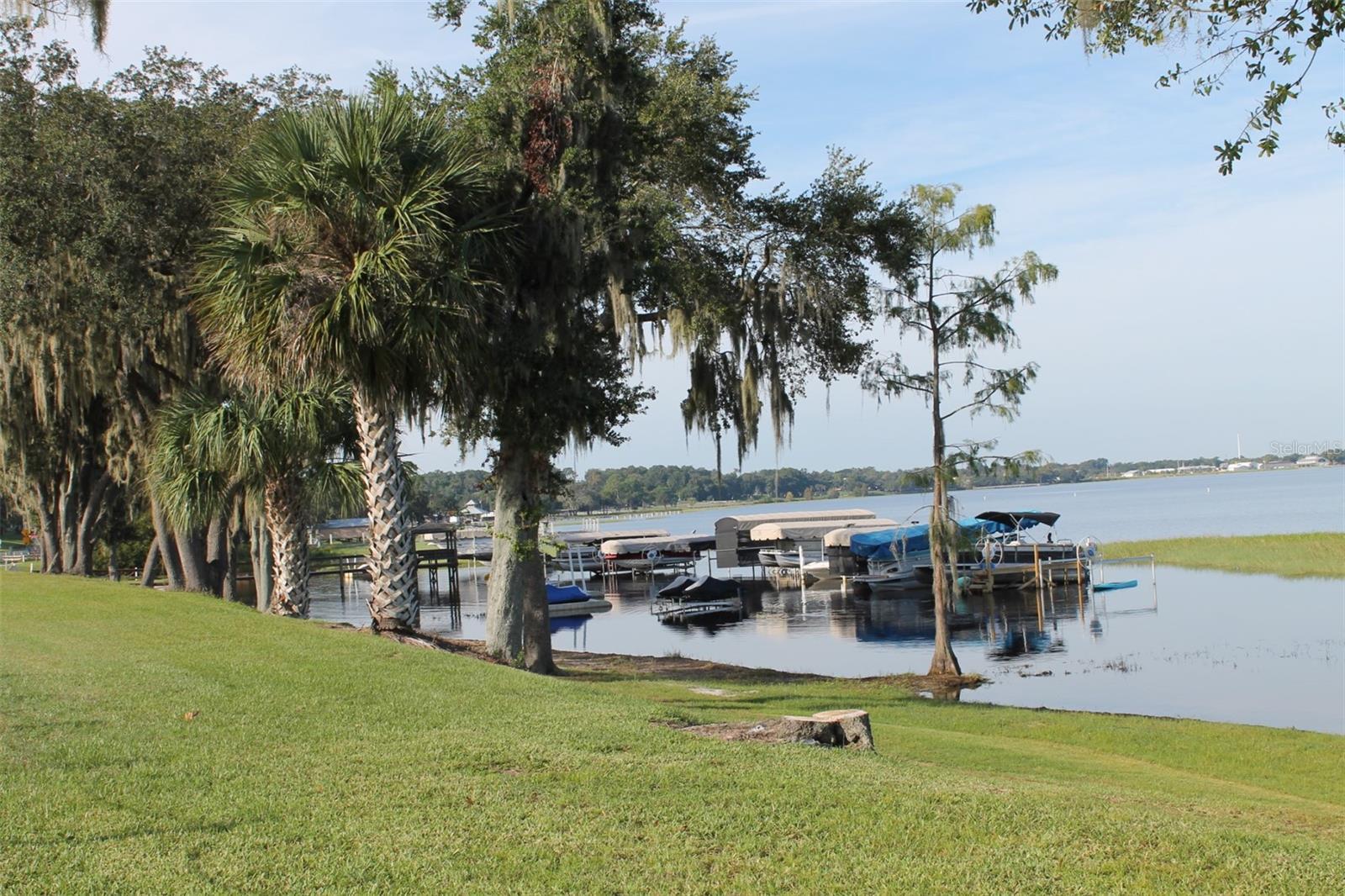 Photo #47
