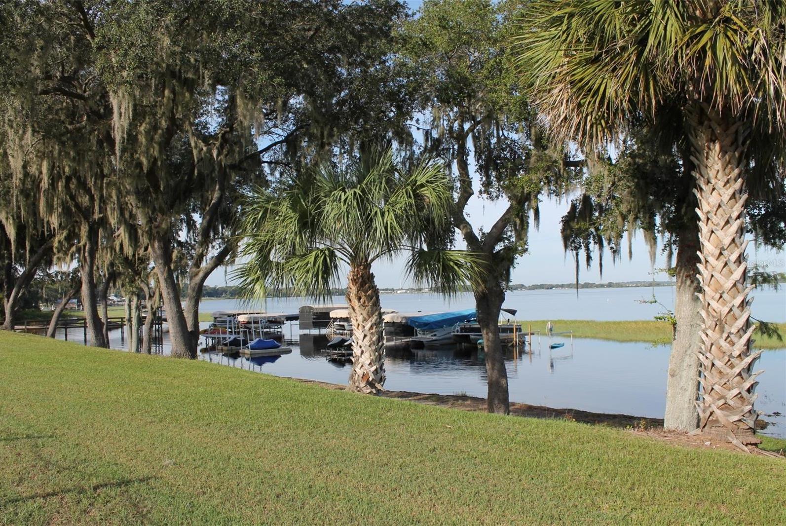 Photo #46