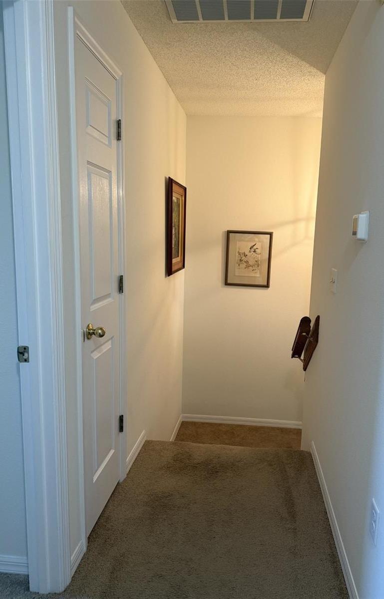 Photo #22