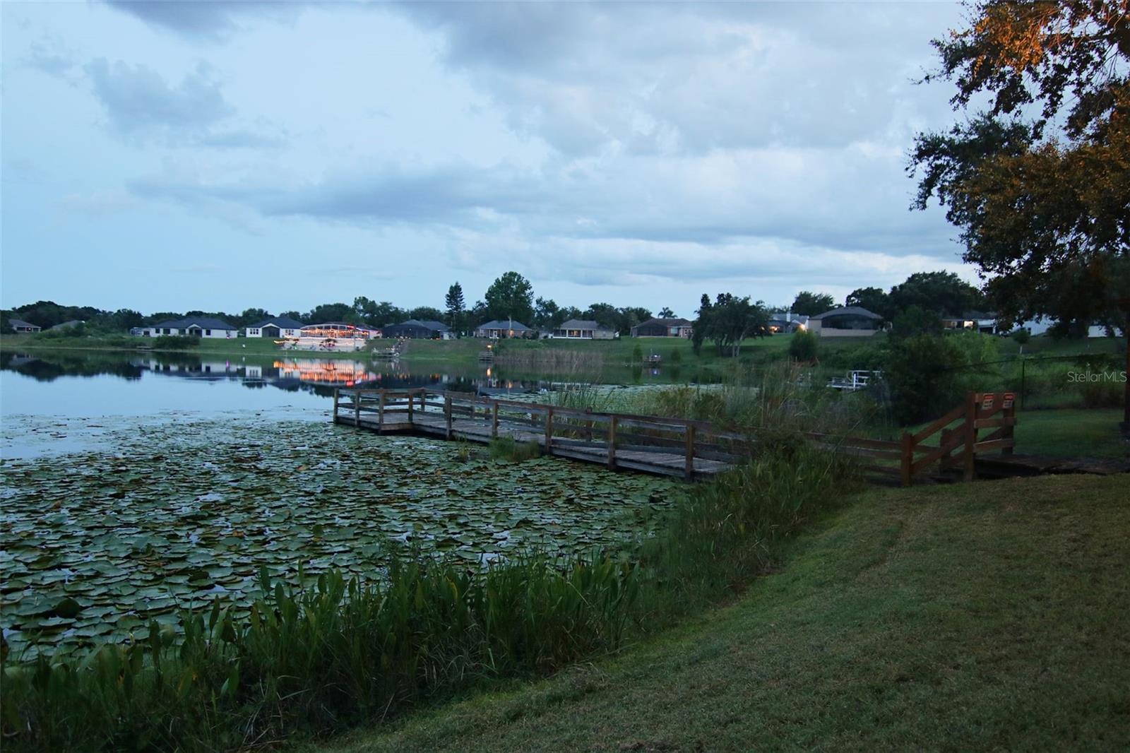 Photo #43