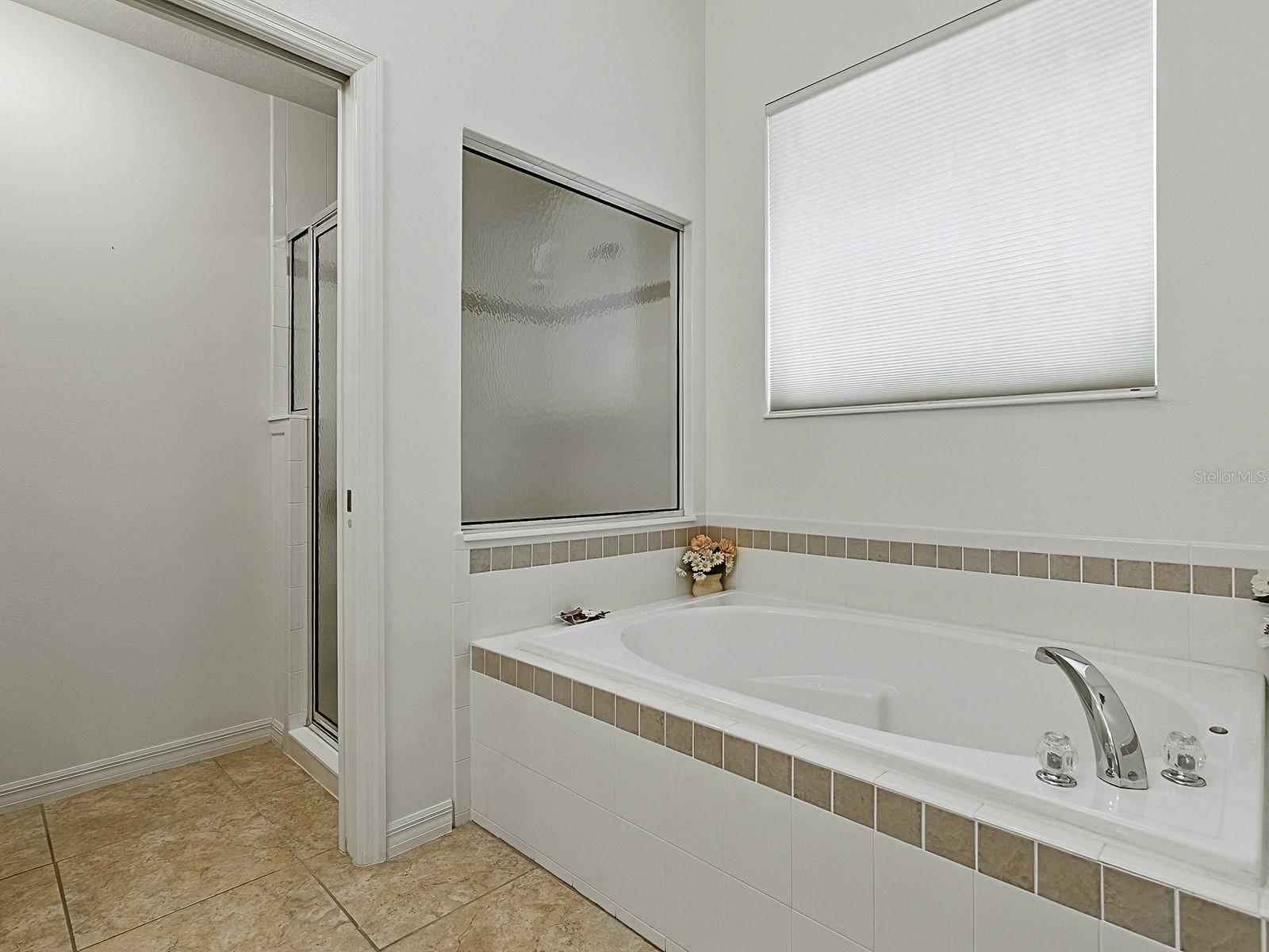 Photo #42