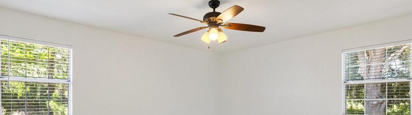 Photo #12