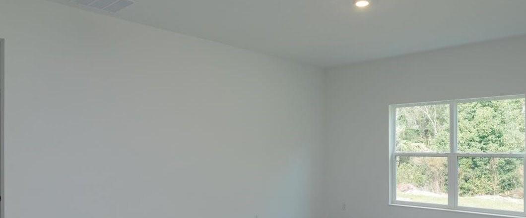 Photo #8