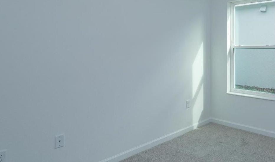 Photo #14