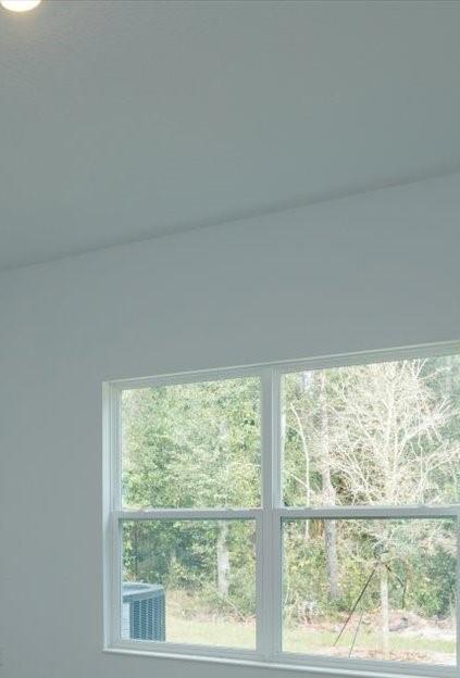 Photo #10