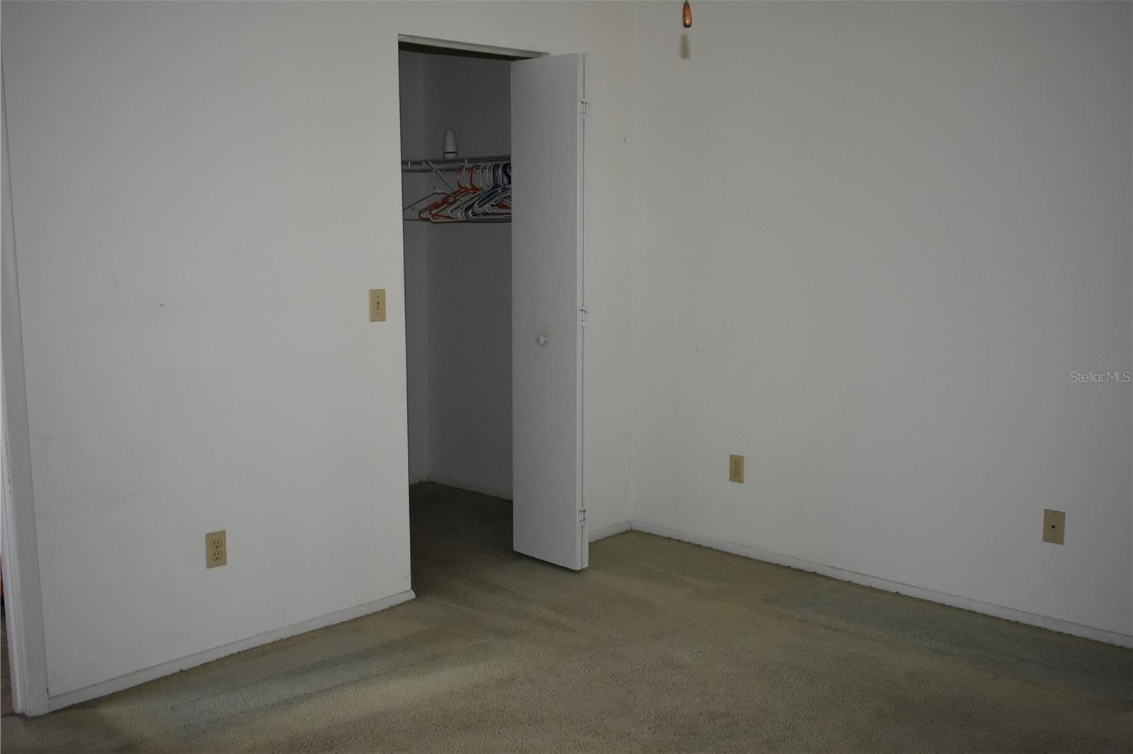 Photo #3