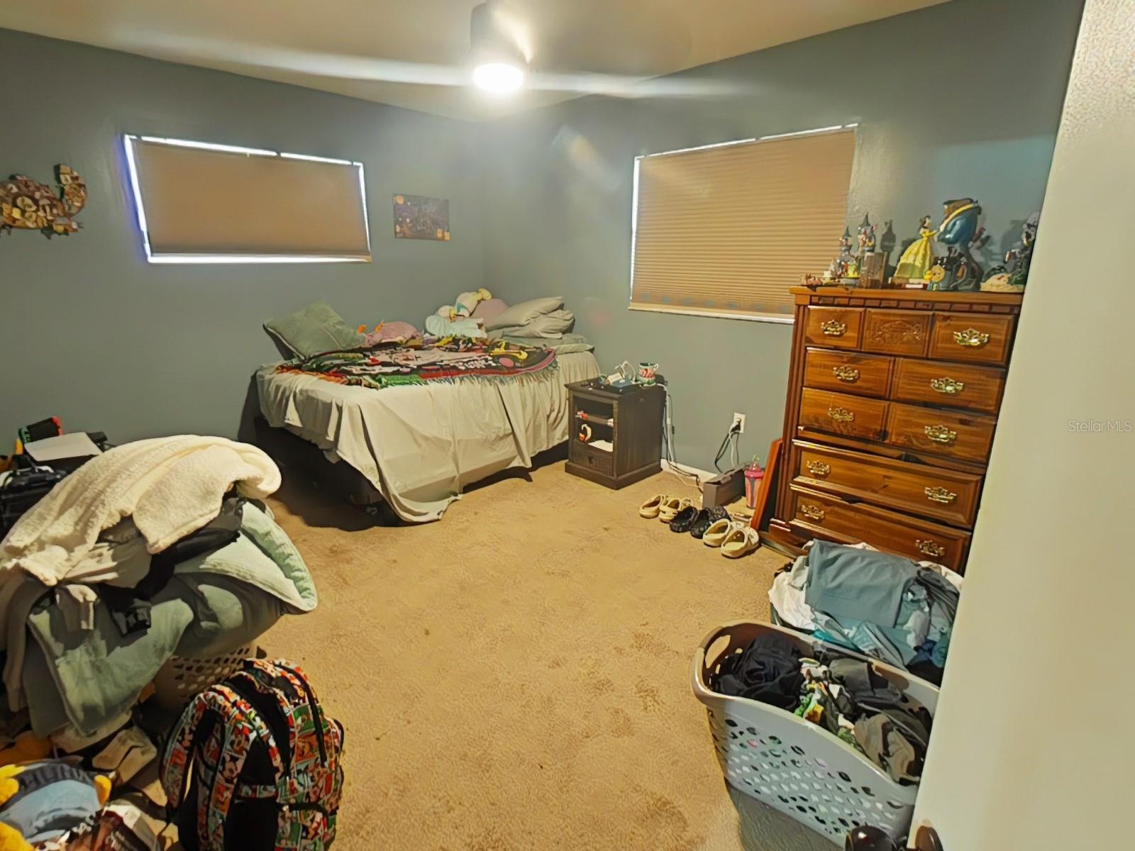 Photo #19