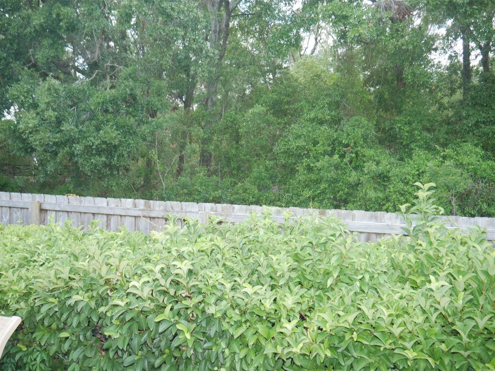 Photo #5