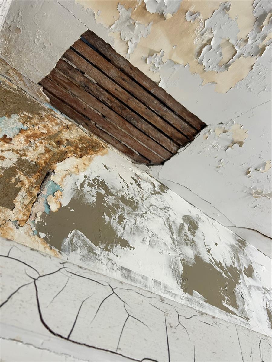 Photo #24