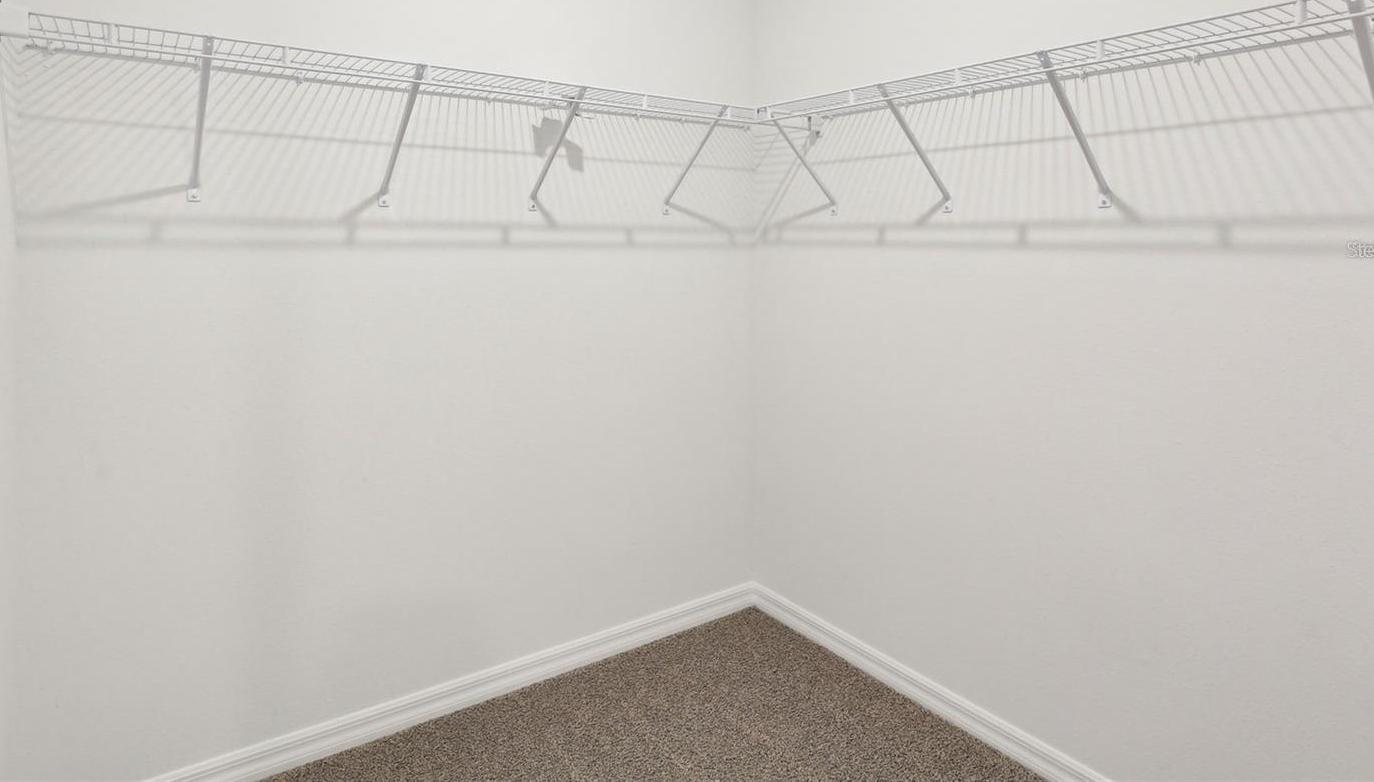 Photo #15