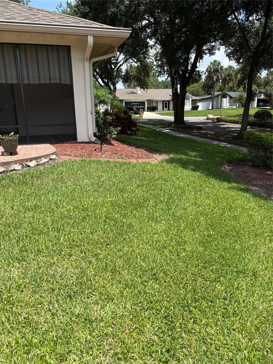Photo #36