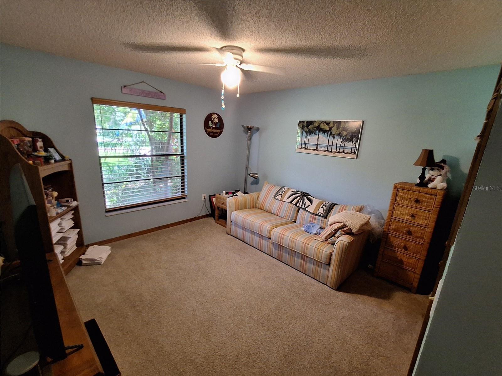 Photo #42