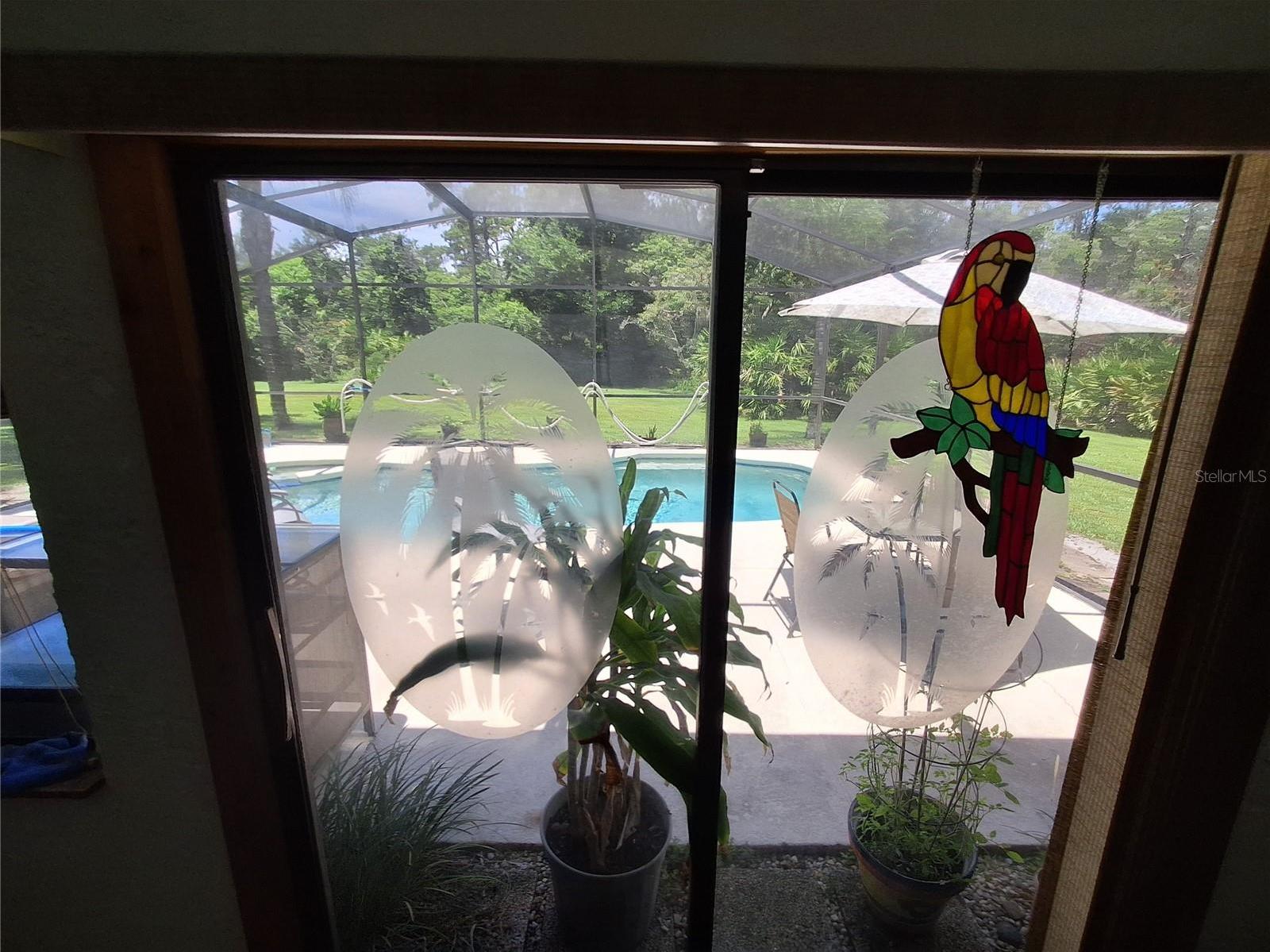 Photo #38