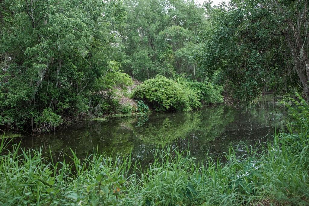 Photo #42