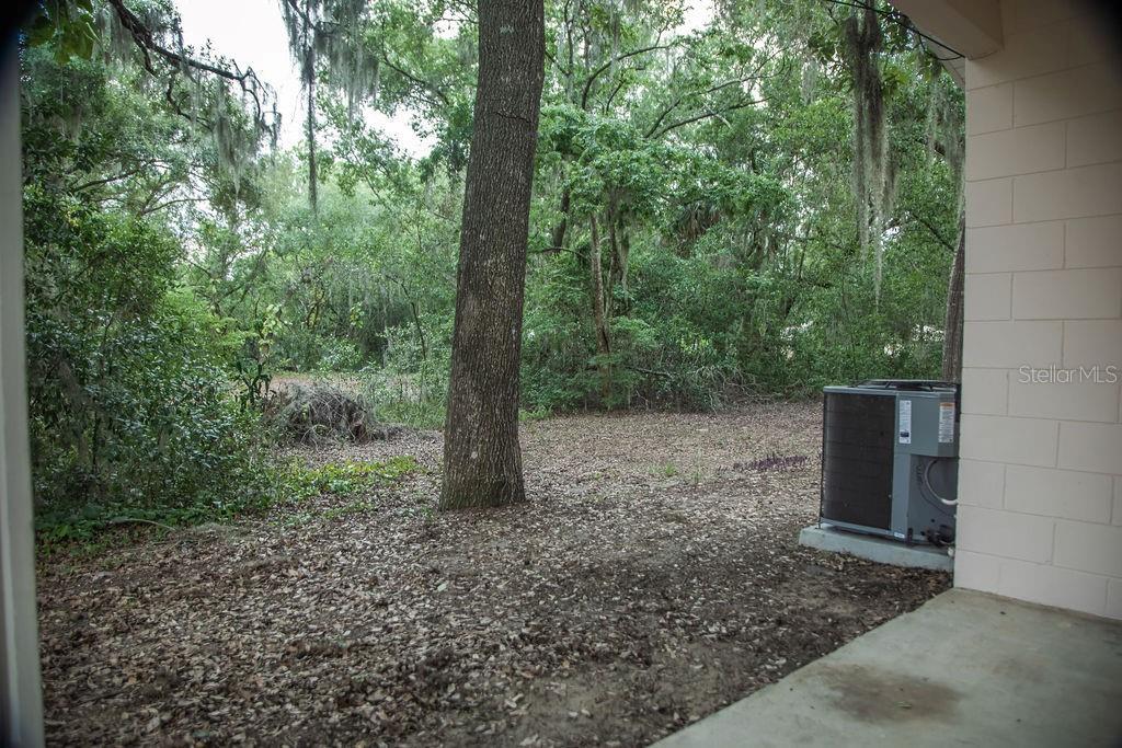 Photo #32