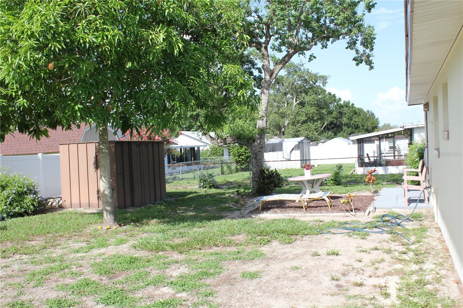 Photo #25