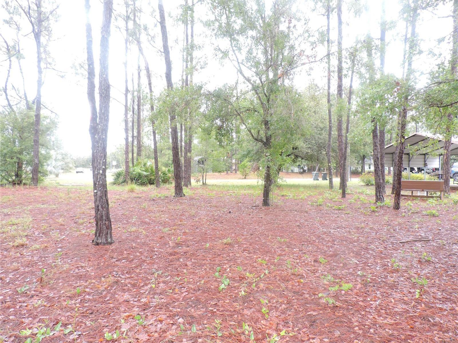 Photo #43