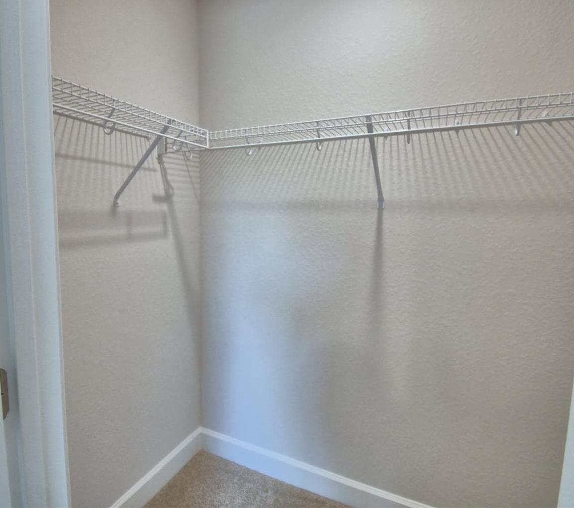 Photo #31