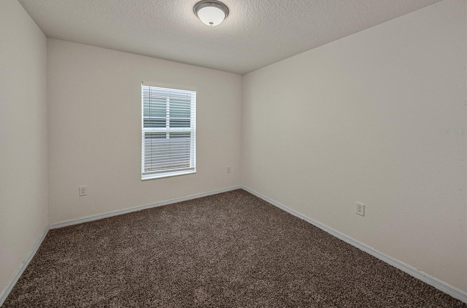 Photo #42