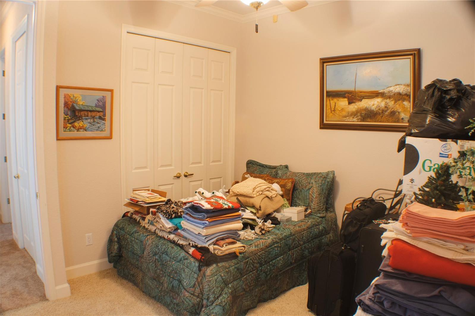 Photo #14