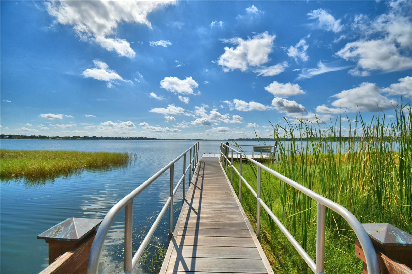 Photo #51
