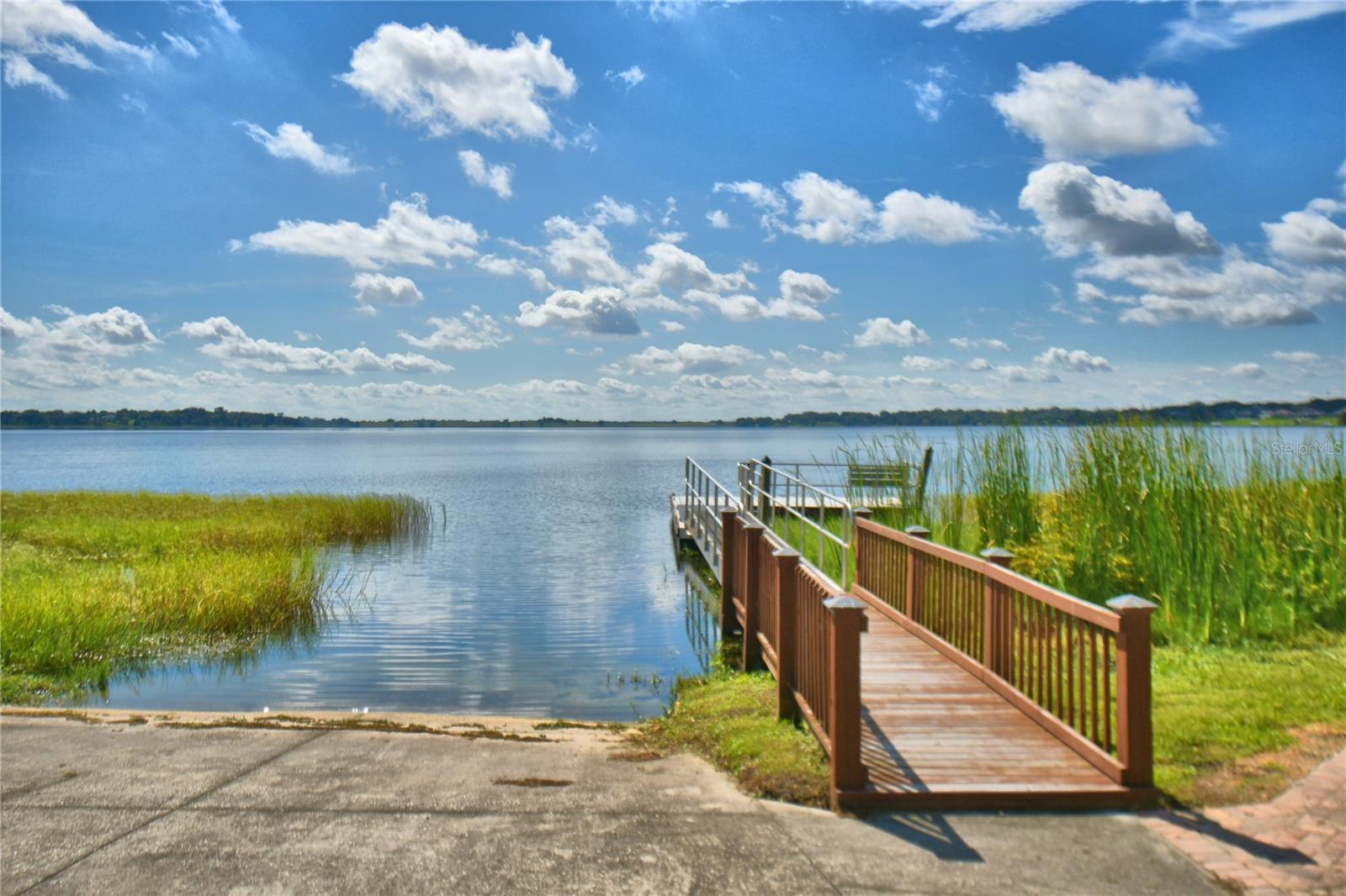 Photo #50