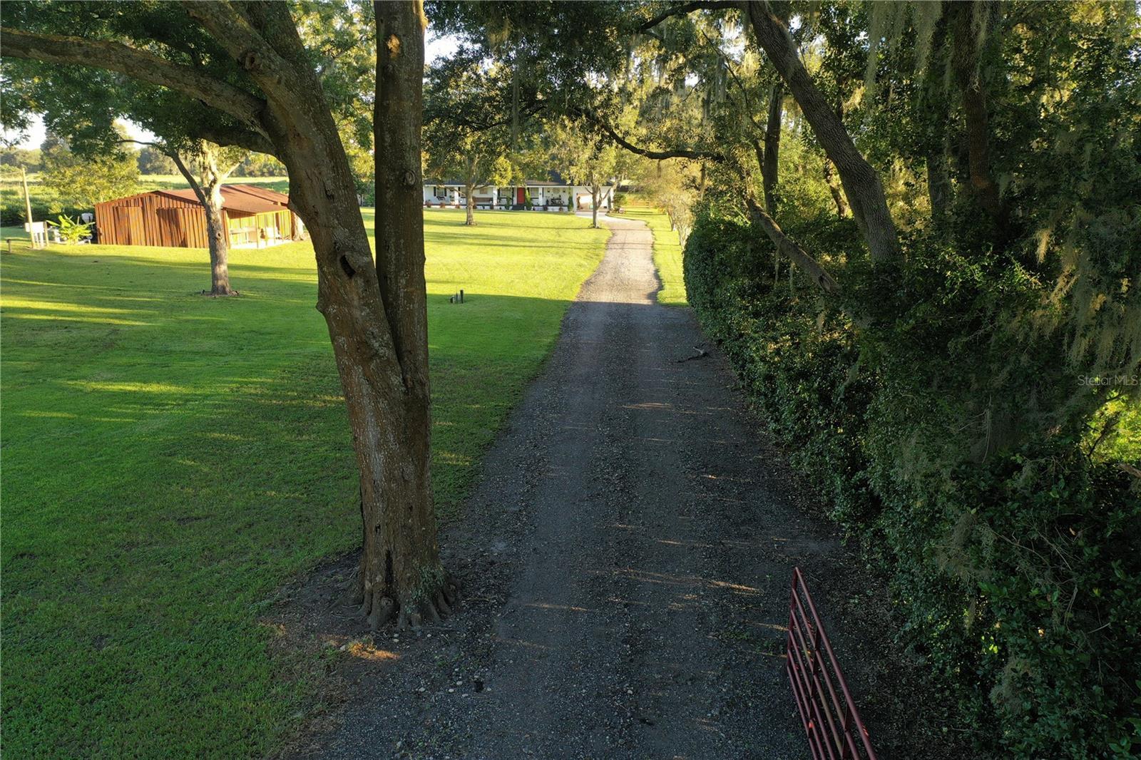 Photo #42