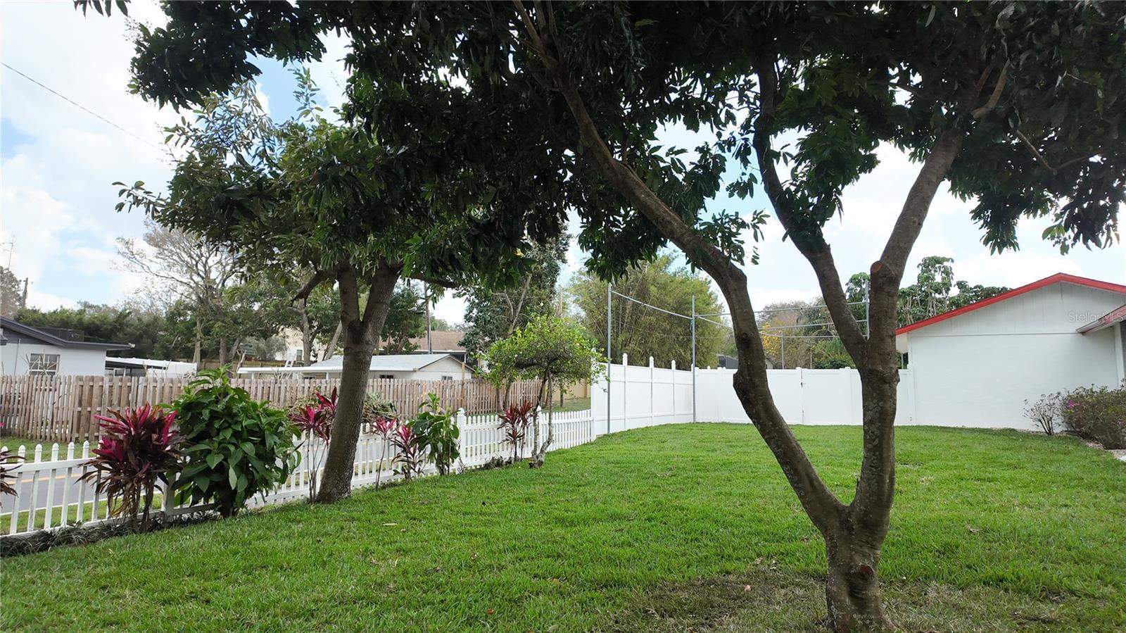 Photo #59