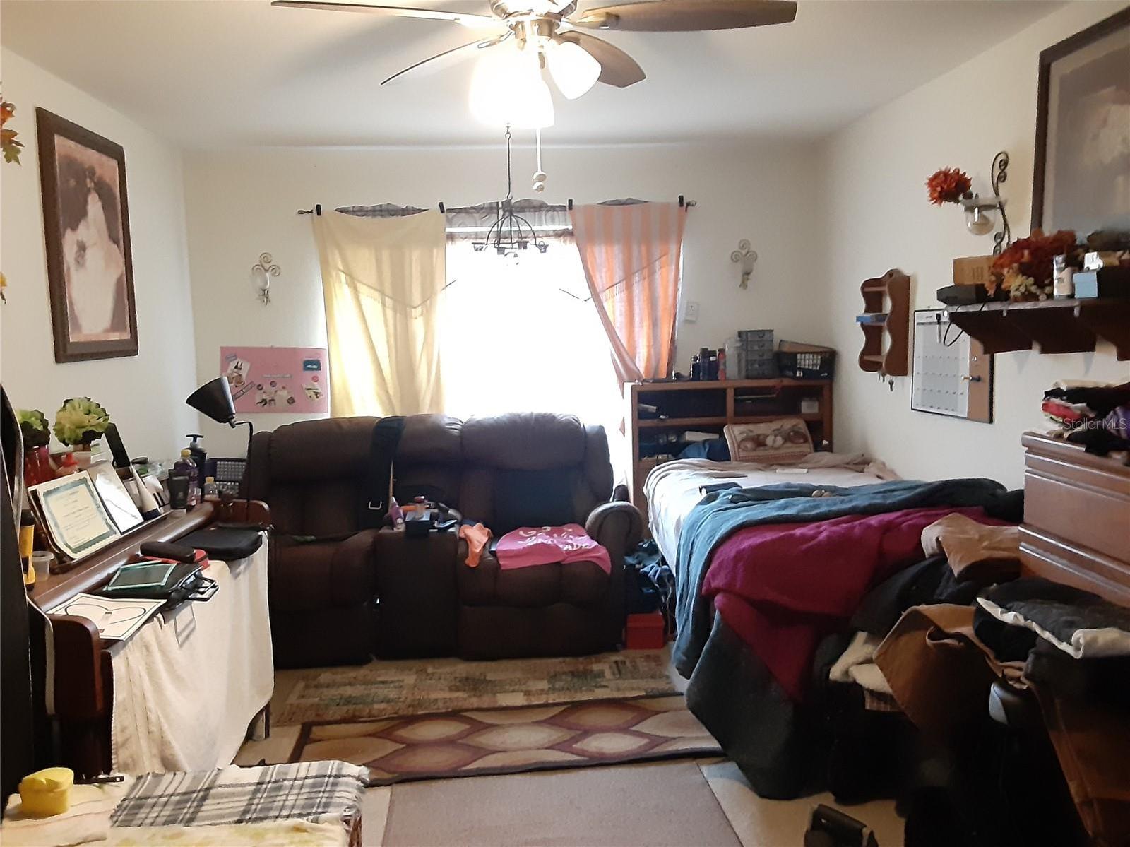 Photo #14