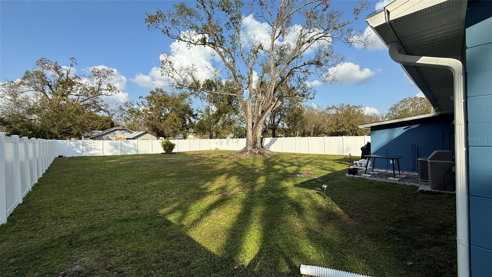 Photo #8