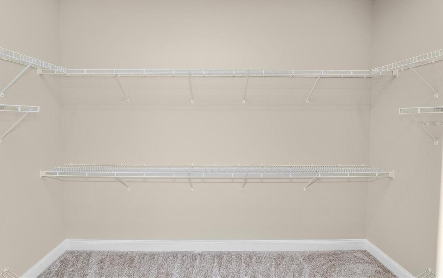 Photo #42