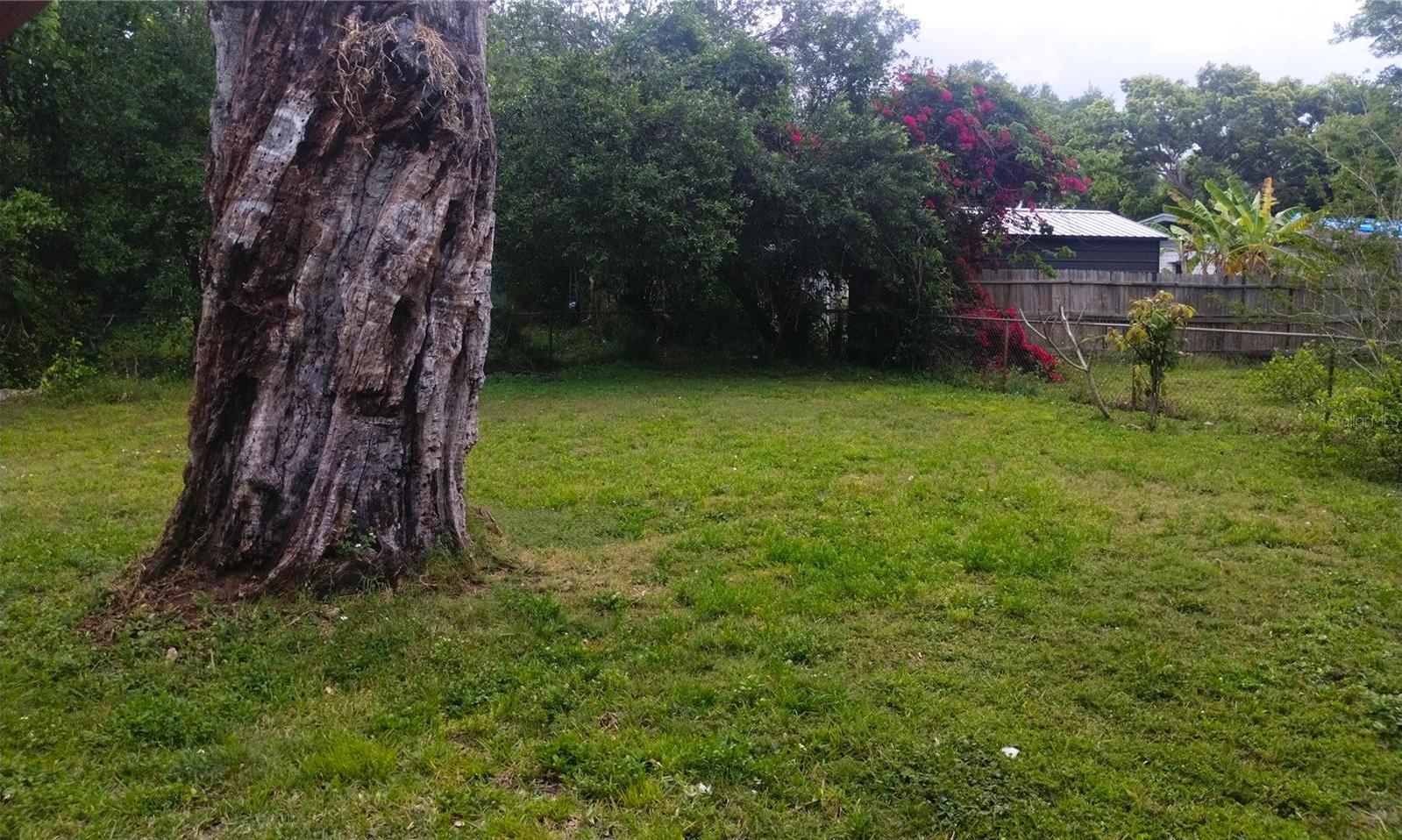 Photo #14