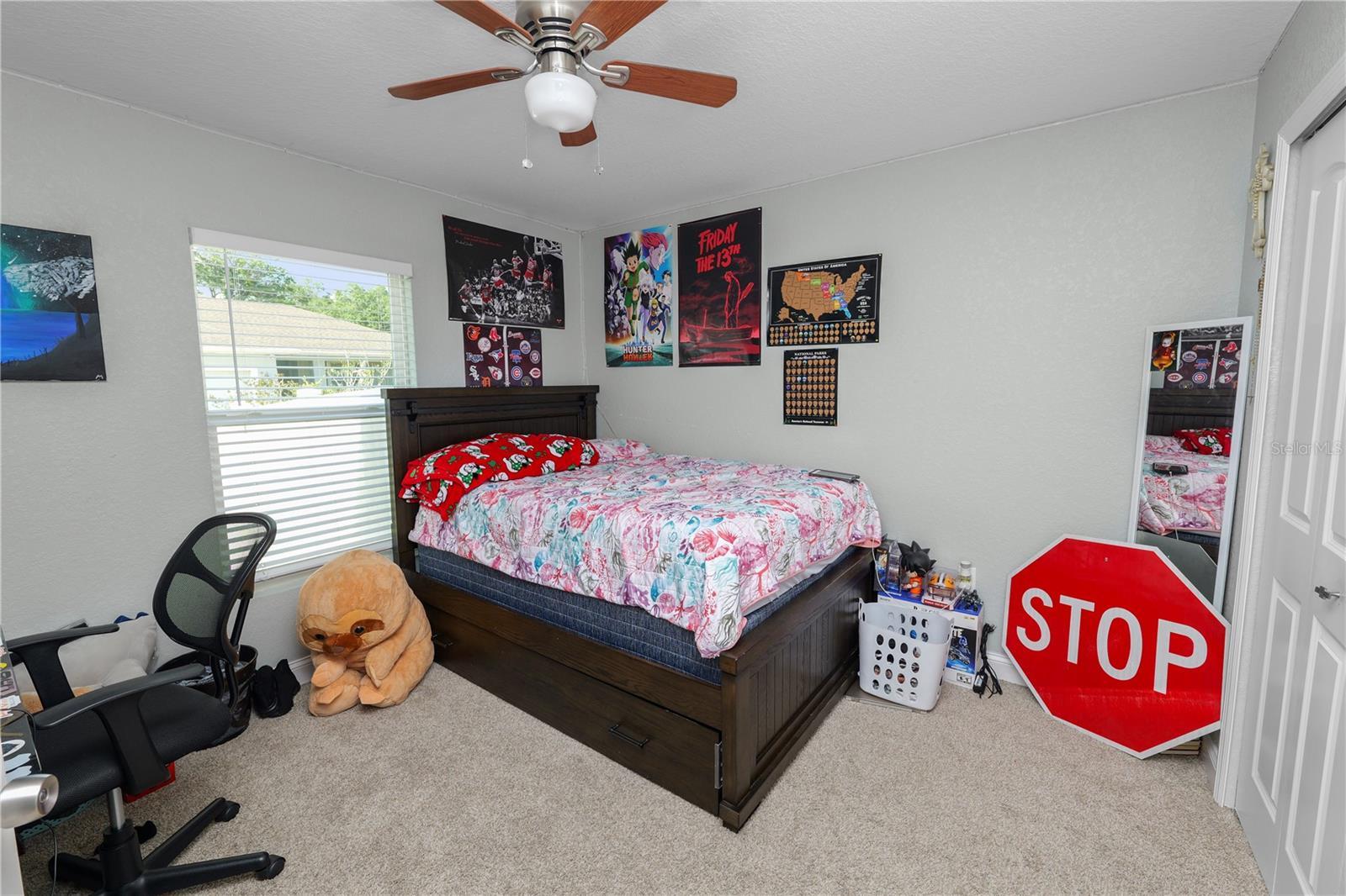 Photo #15