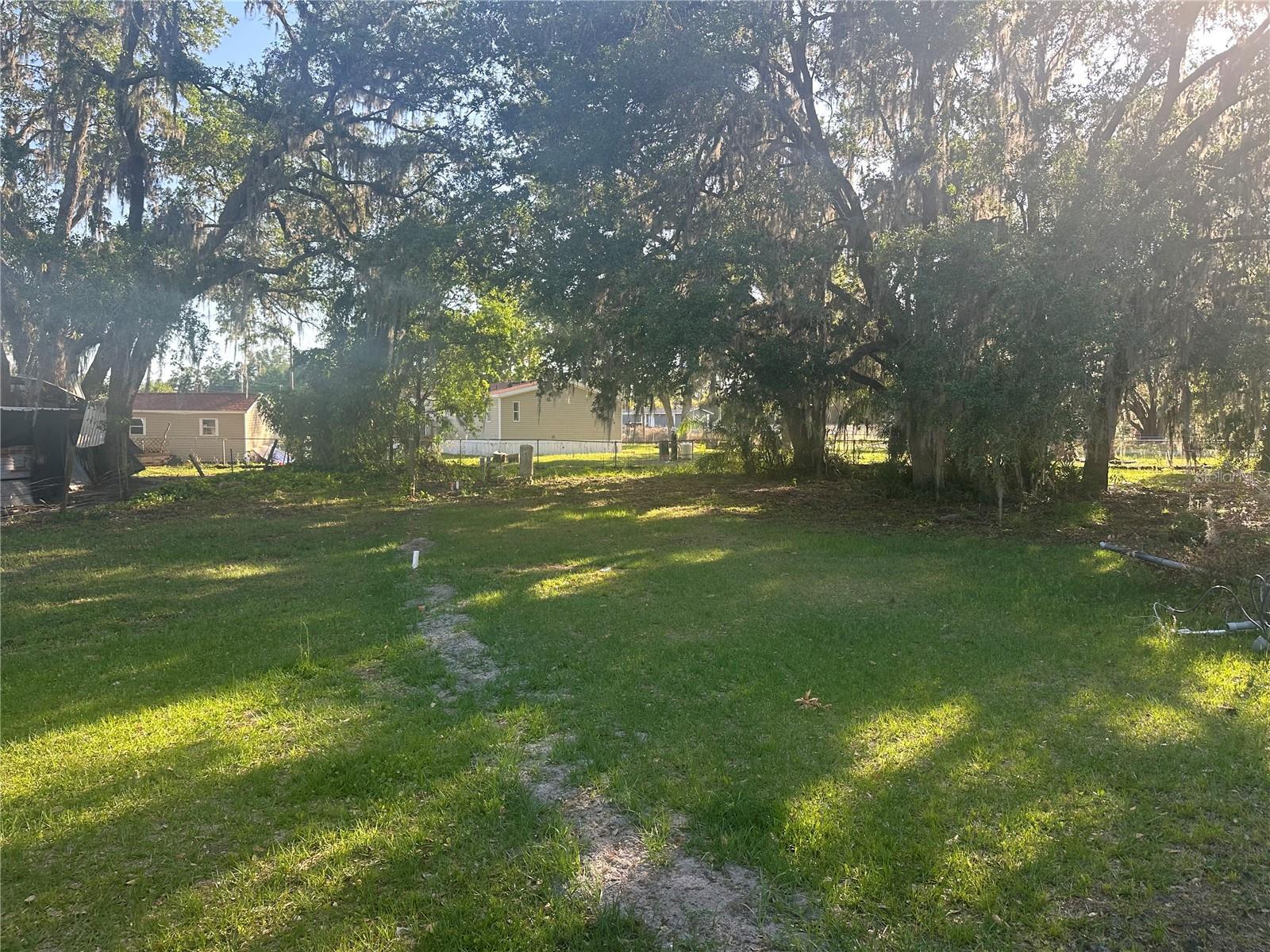 Photo #14