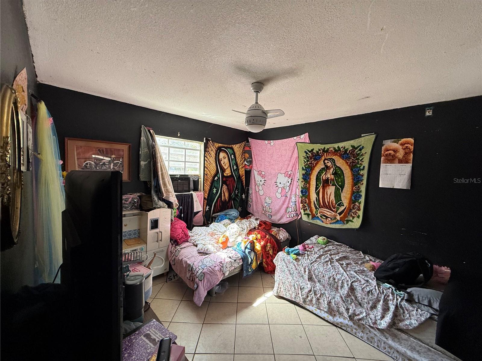 Photo #14