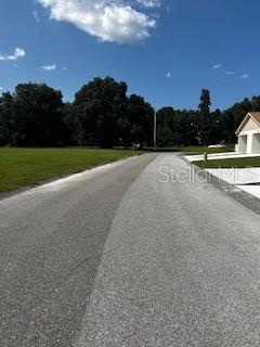 Photo #14