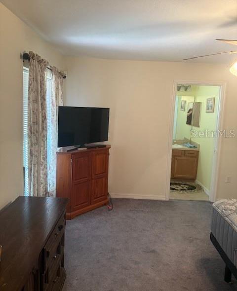 Photo #4