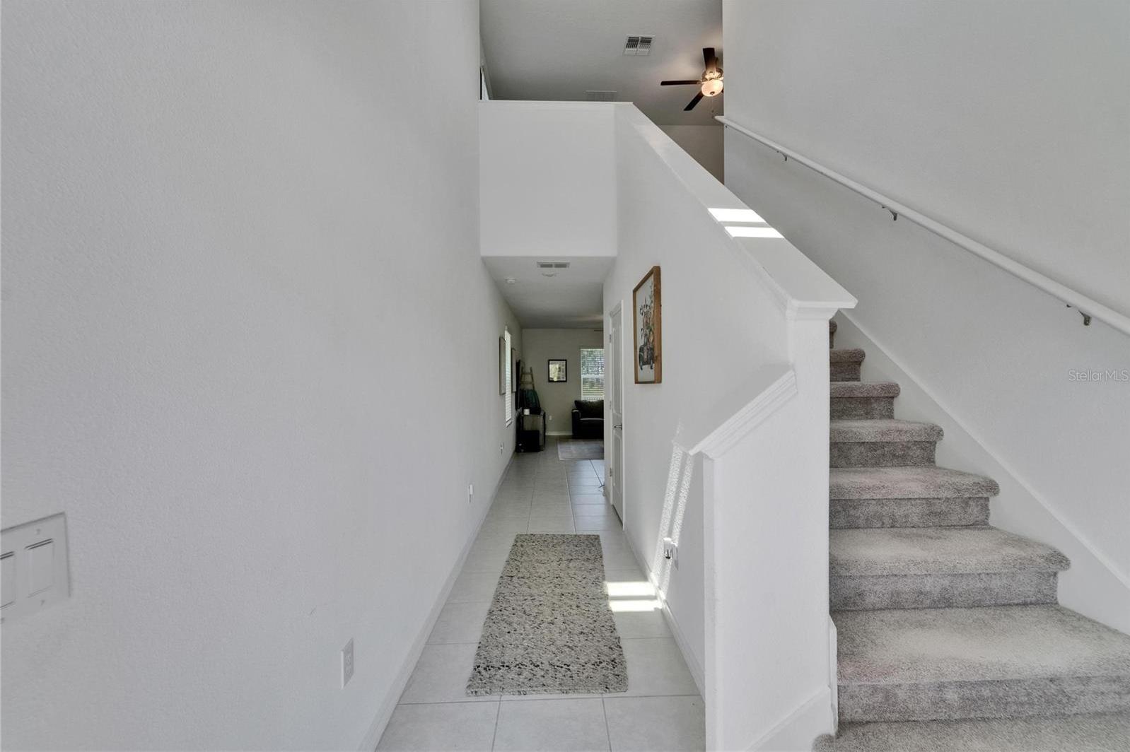 Photo #8