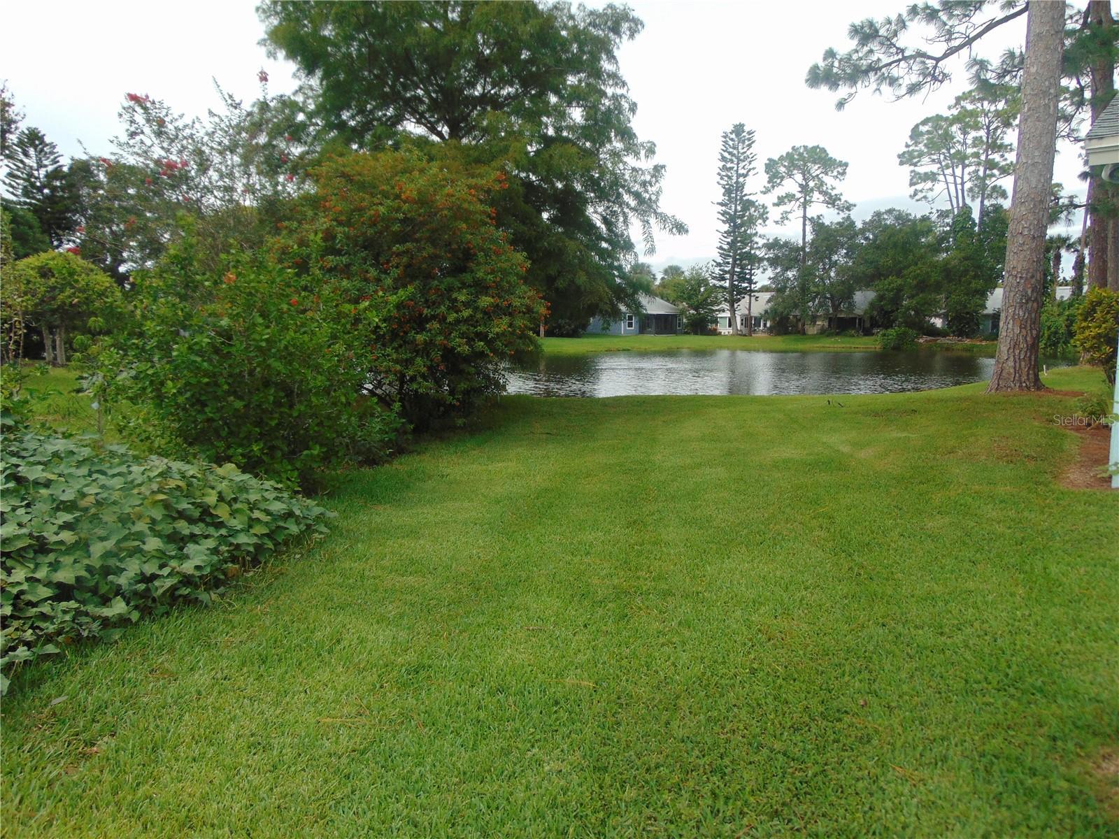 Photo #34