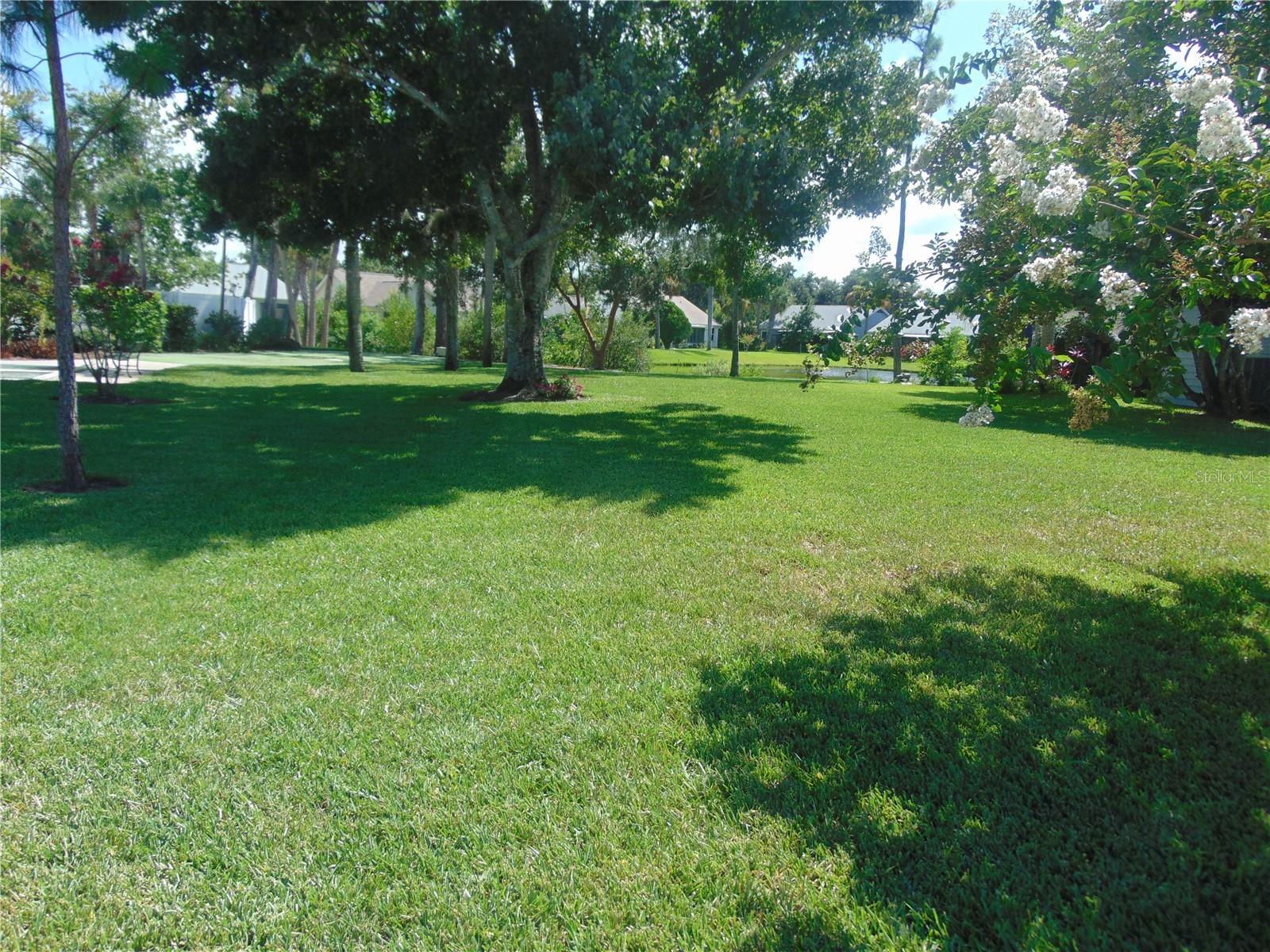 Photo #33
