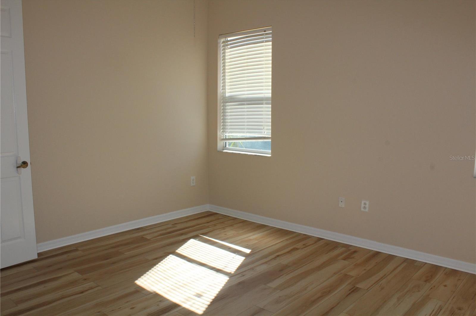 Photo #18