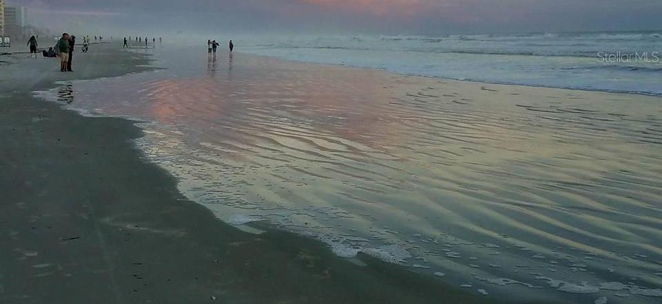 Photo #43