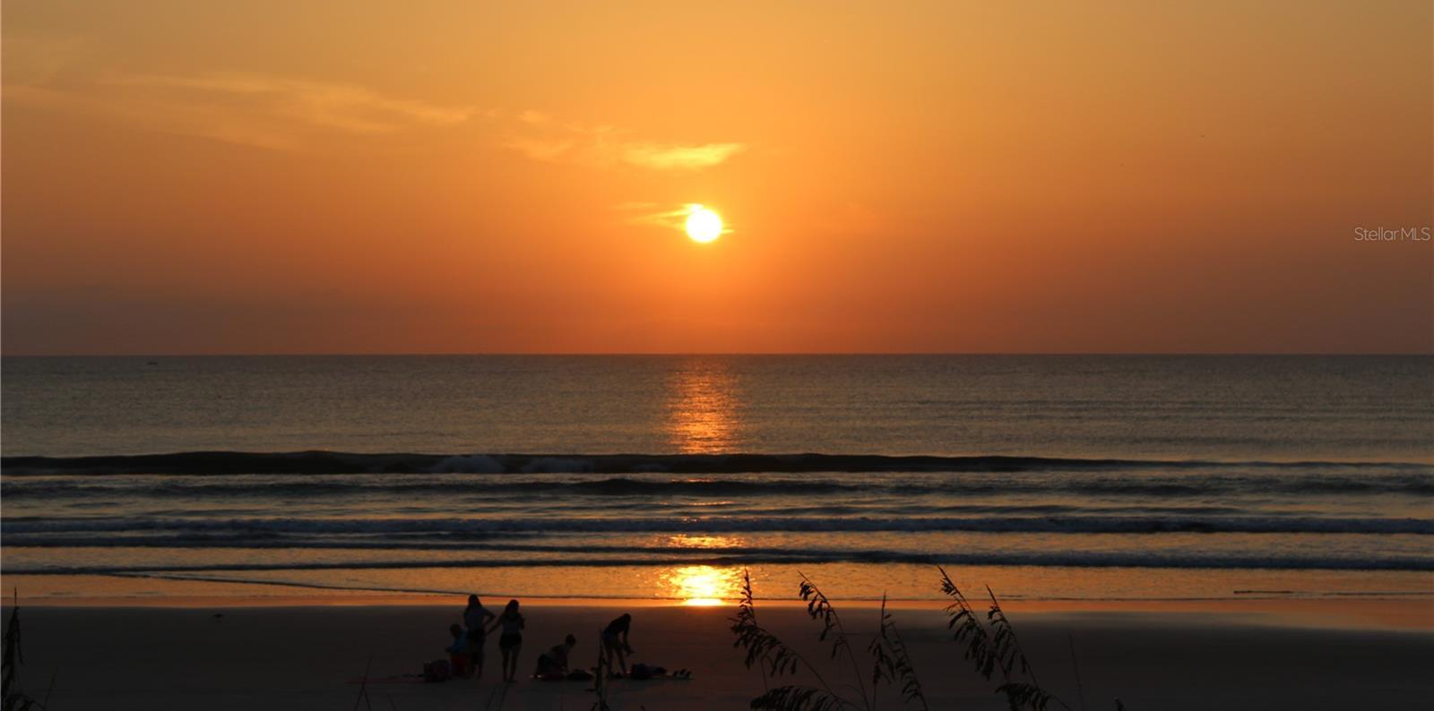 Photo #63