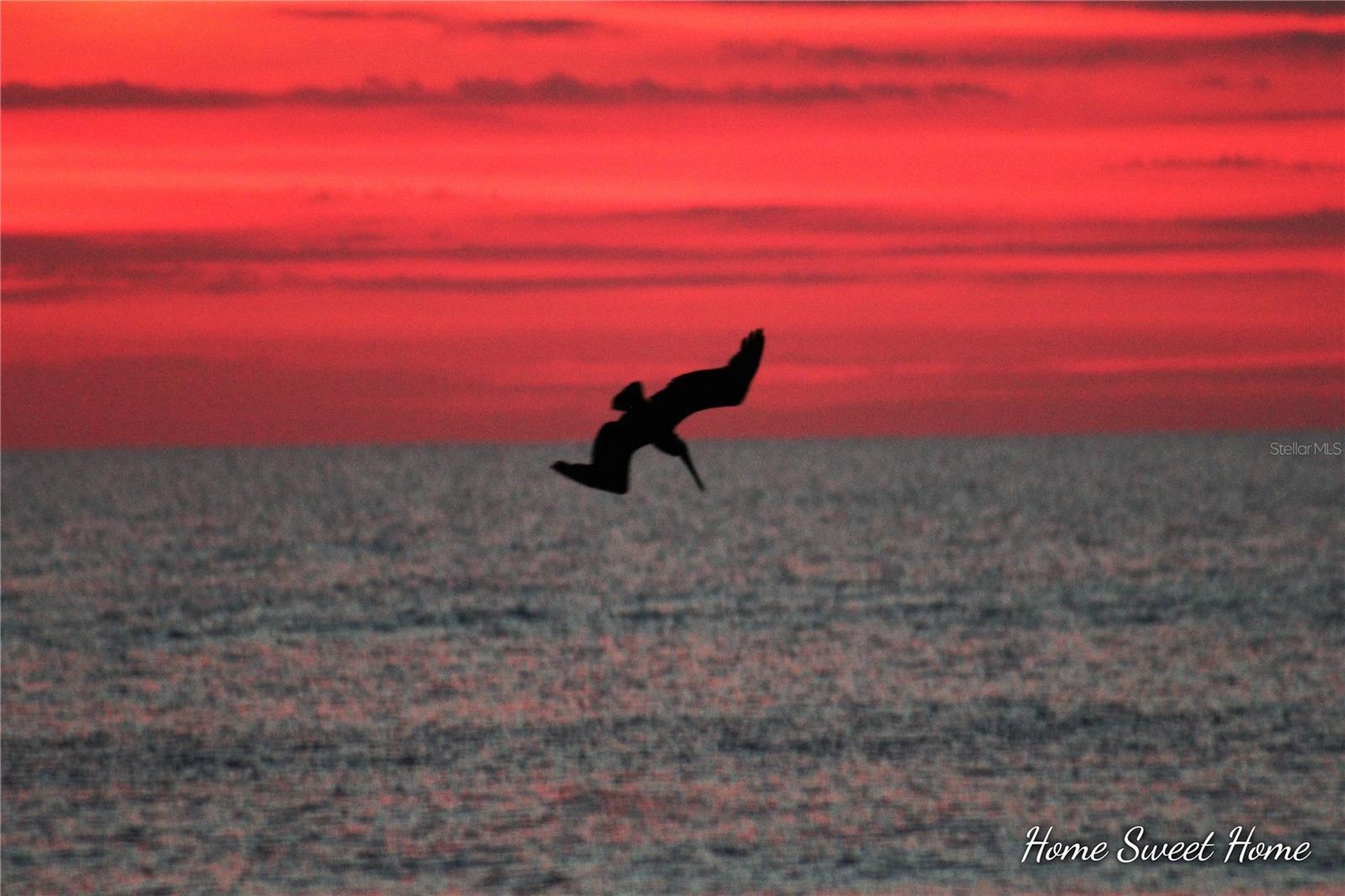 Photo #64