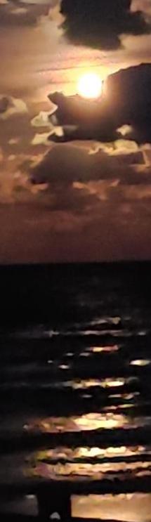 Photo #46