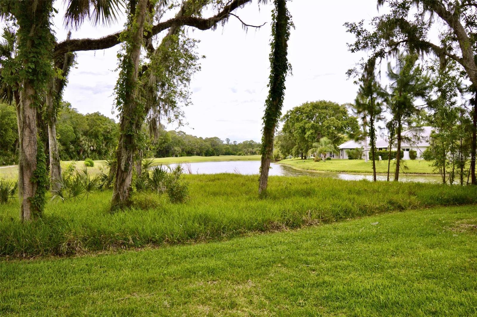 Photo #12