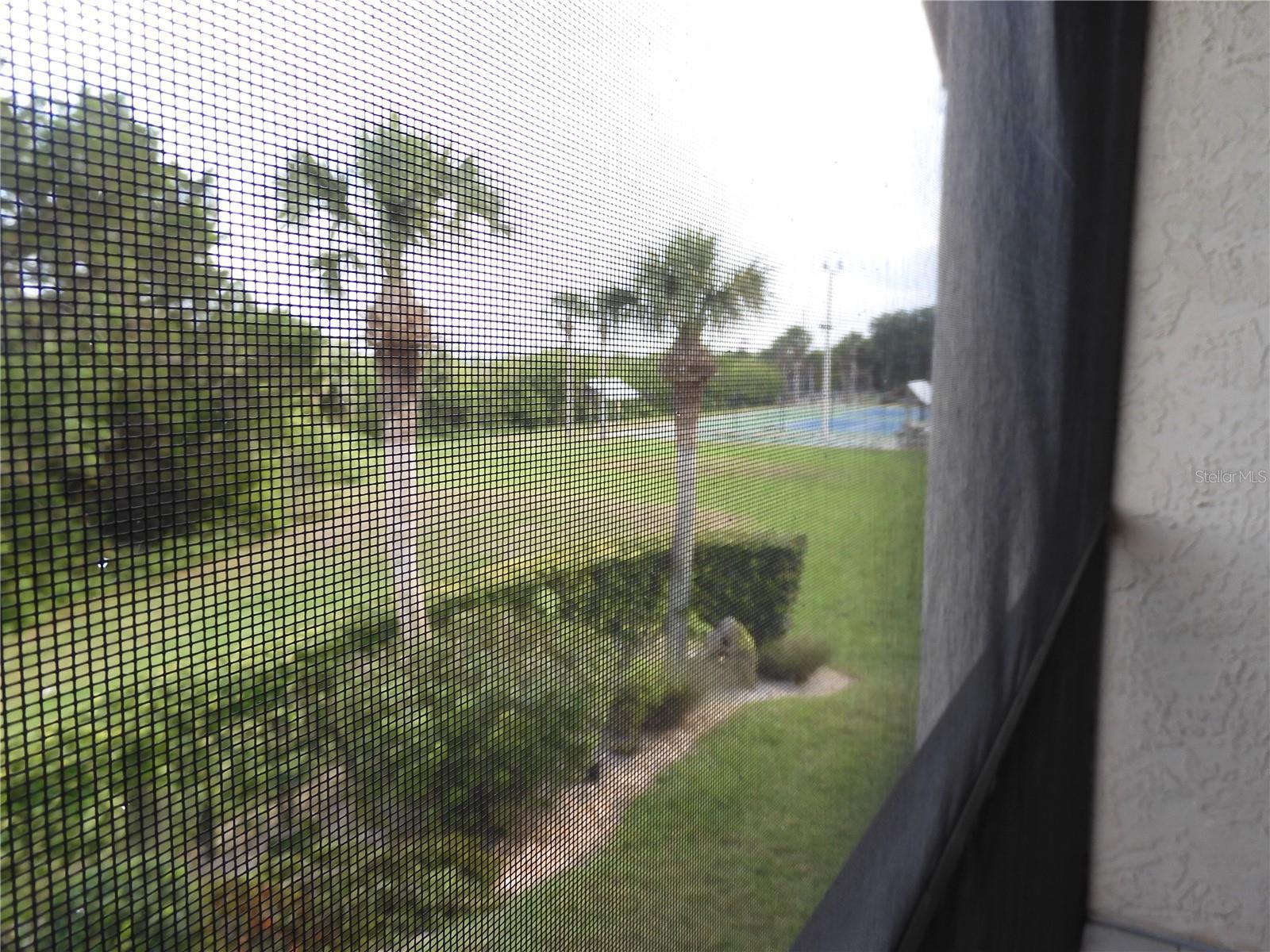 Photo #26