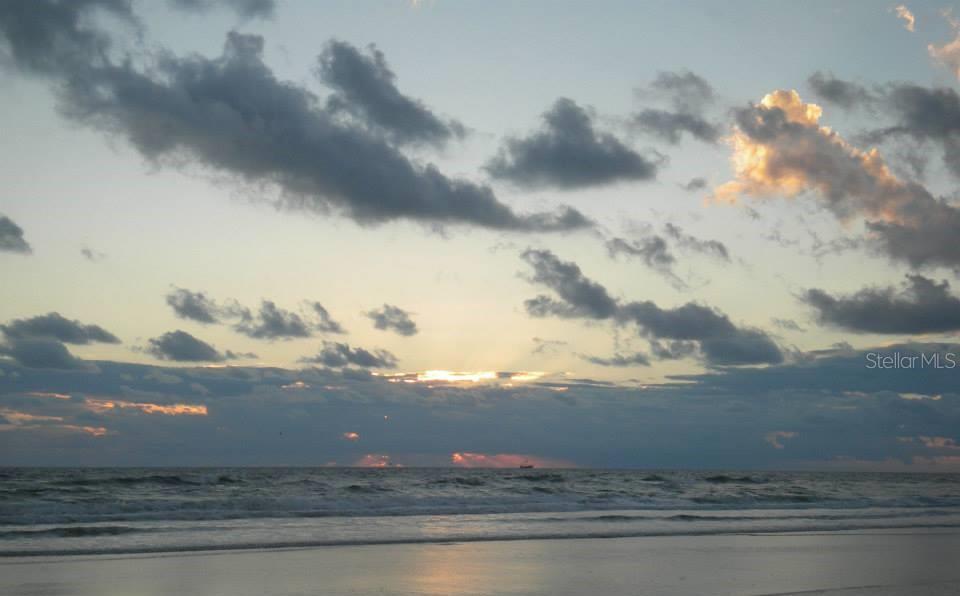Photo #68